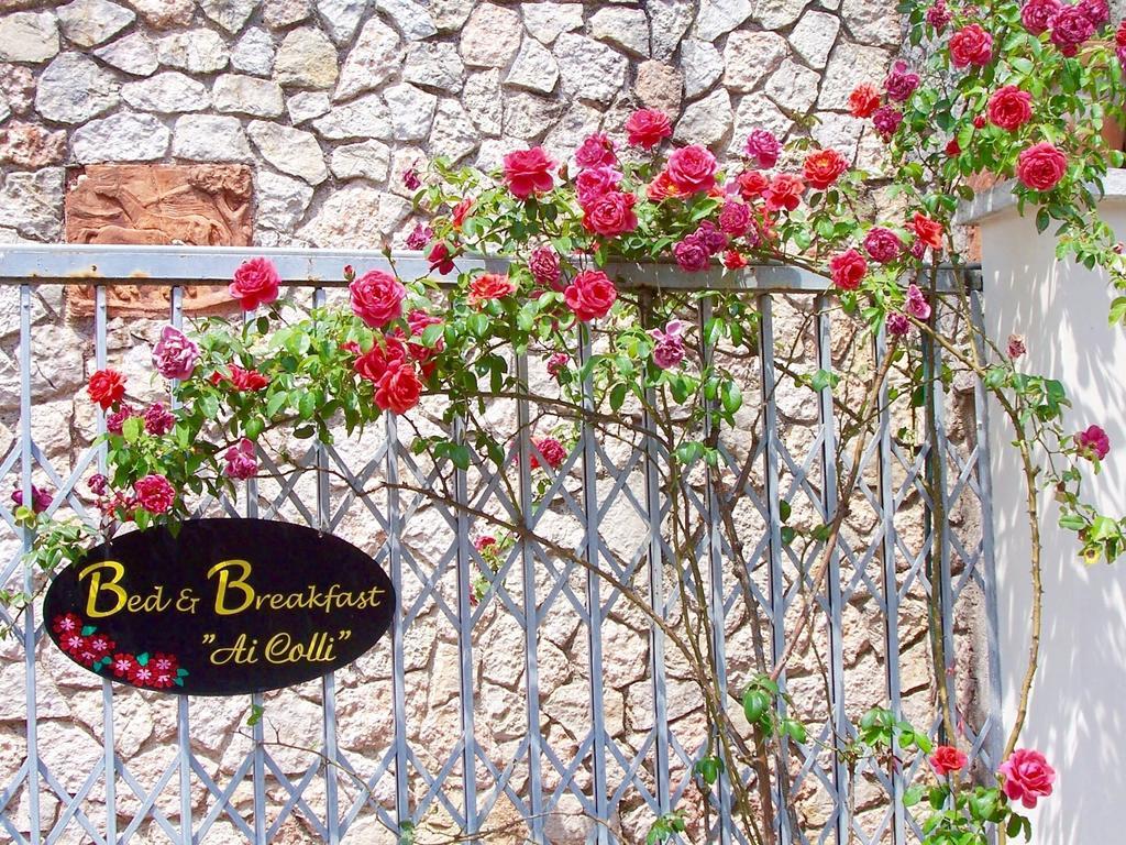 Ai Colli B&B Сало Номер фото
